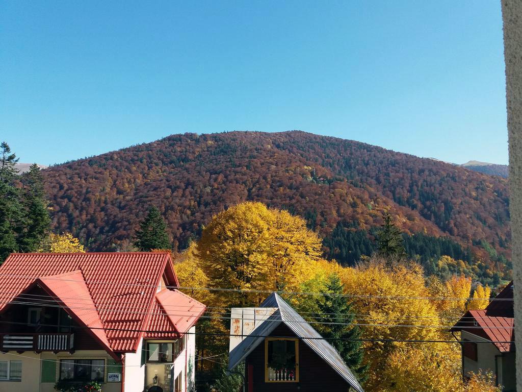 Vila Gabriel Синая Экстерьер фото